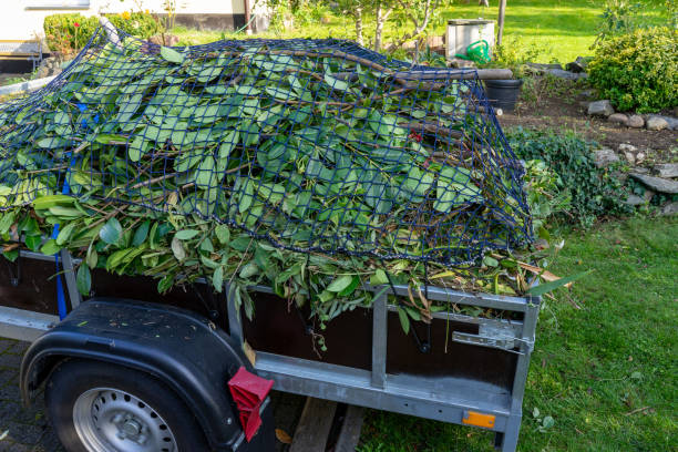 Best Carpet Removal and Disposal  in Taneytown, MD